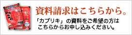 カプリキ資料請求